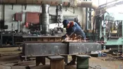 Действующее предприятие в сфере производства